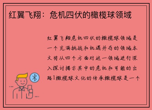 红翼飞翔：危机四伏的橄榄球领域